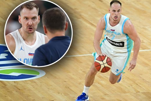 prepelic dragic sekulic