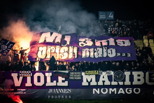 viole maribor