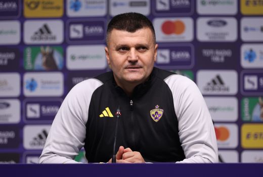 feđa dudić