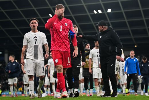 slovenija kosovo stozice