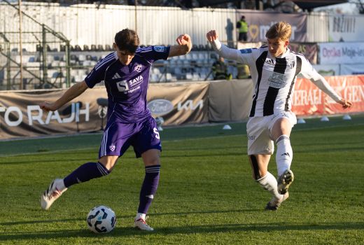 spanring petrovic gw