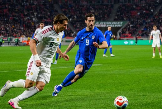 madzarska slovenija 8