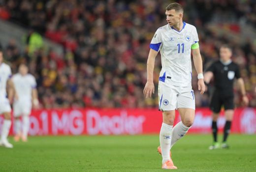 edin dzeko bih