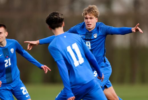 1slovenija makedonija