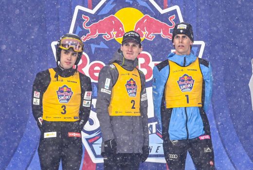 domen prevc foubert insam