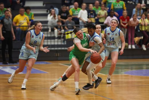 ilirija cinkarna celje