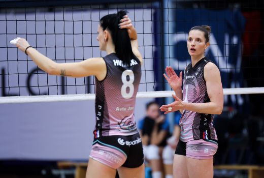 iza mlakar sara hutinski