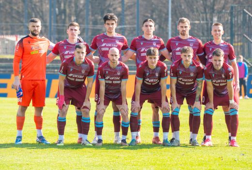 triglav skupinska br