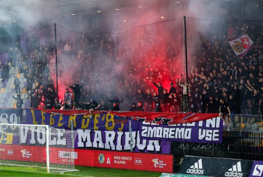 viole maribor.jpg