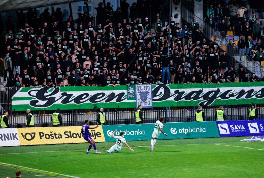 olimpija maribor green dragons navijaci.jpg