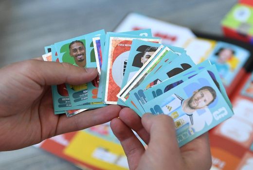 panini pm.jpg