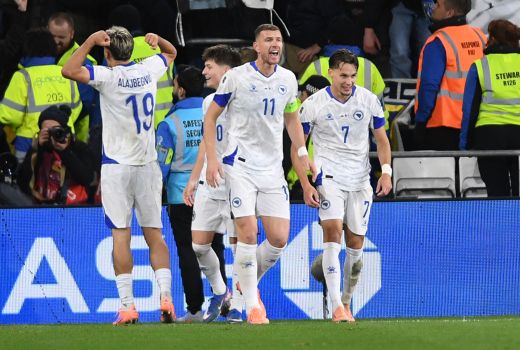 bosna edin dzeko.jpg