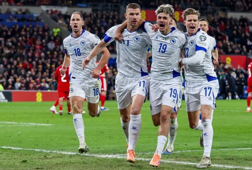 bosna