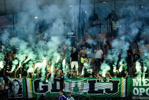 Green Dragons