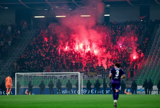viole maribor.JPG