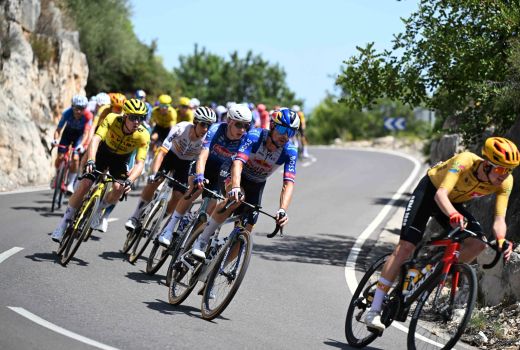 roglic.jpg