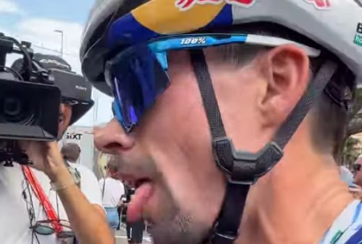 roglic.png