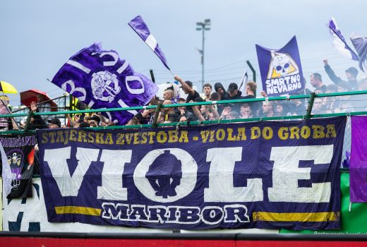 viole.jpg