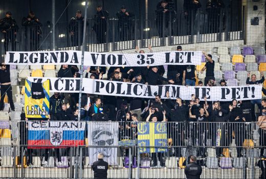 celjski grofje.jpg