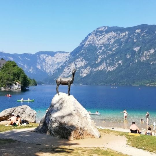706956_175-bohinj