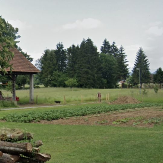 tomaz-kraskovic