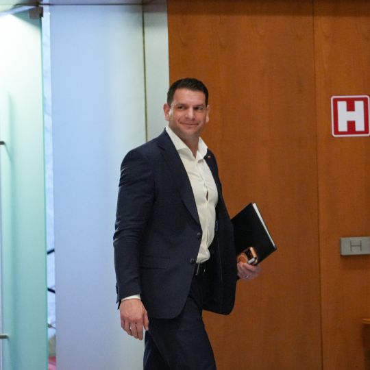 zoran stevanovic