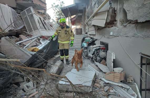 potres v turčiji, slovenski pes, reševanje