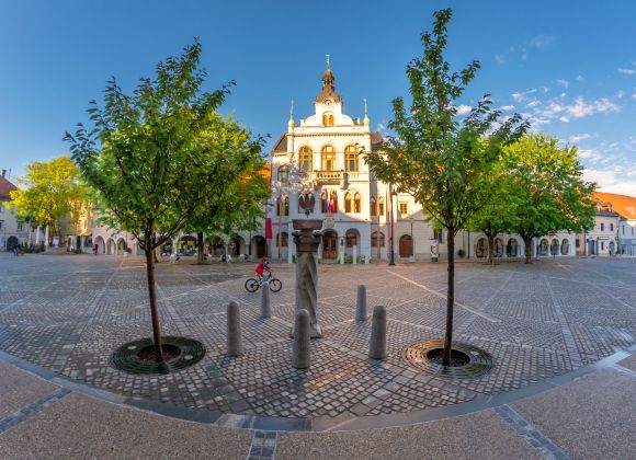 Nov razpis Mestne občine Novo mesto