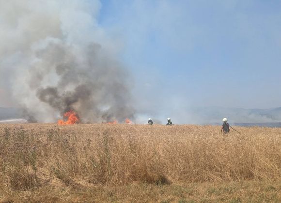 Odziv župana na vse pogostojše požare v okolici Kerinovega grma