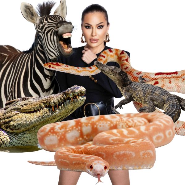 Ceca je jedla vse živo ... Razen te živalce ...