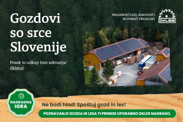 Ne bodi hlod! Spoštuj gozd in les!