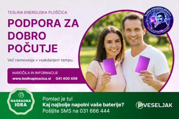 Teslina energijska ploščica