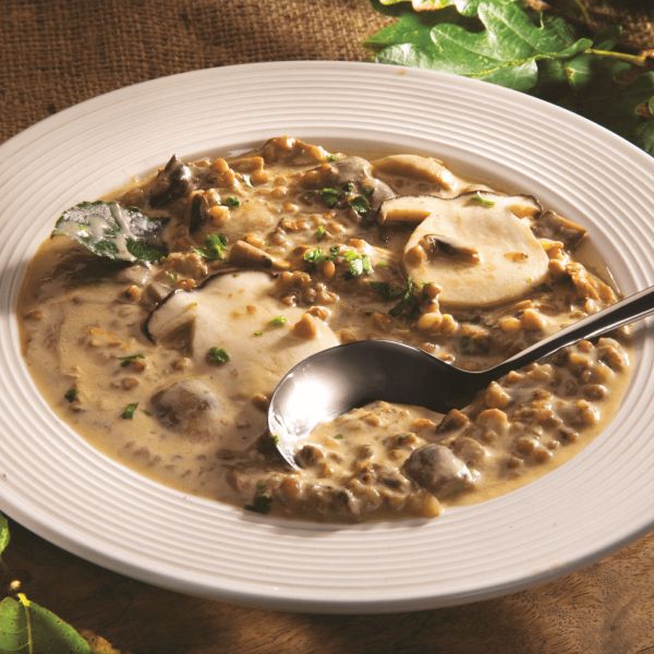 smetanova gobova juha