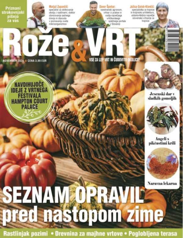 Revija št. 9