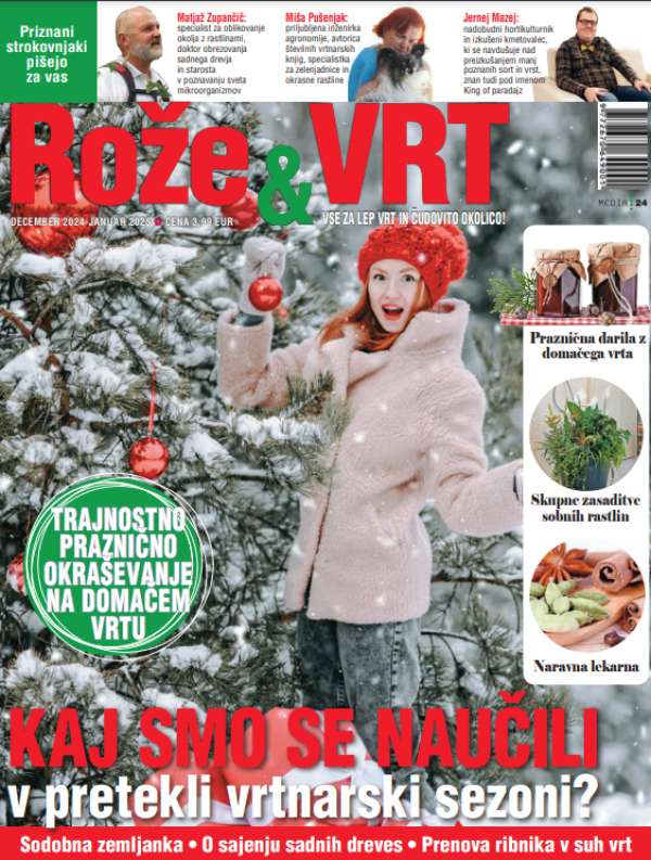 Revija št. 10