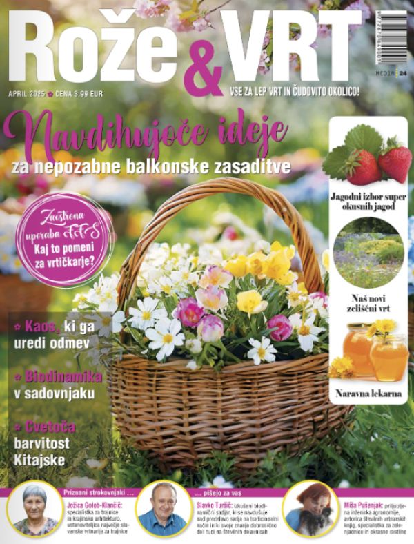 Revija št. 3