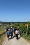 Slakova pesem in Pavčkova poezija na vsakem koraku