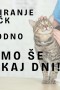 Lastniki mačk, ne odlašajte: ugodno čipiranje samo še nekaj dni!