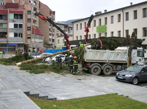 Padla novoletna smreka poškodovala avtomobile