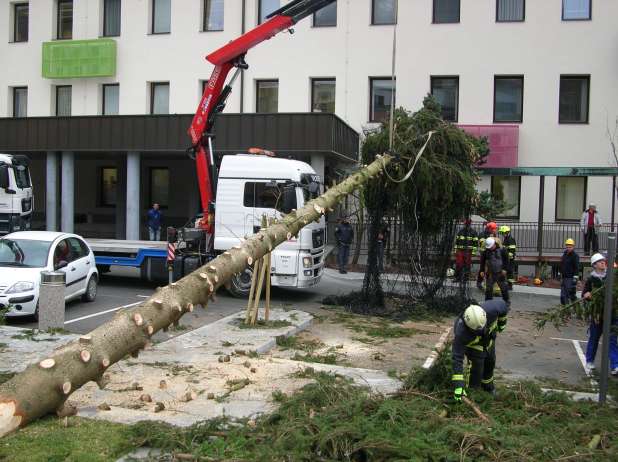 Padla novoletna smreka poškodovala avtomobile