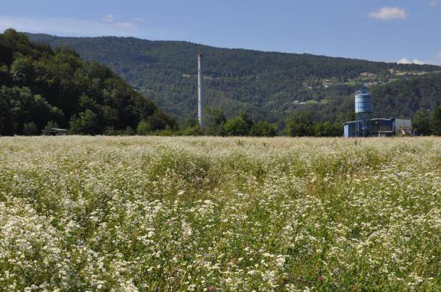 Na odlagališču bodo postavili največjo sončno elektrarno v Sloveniji