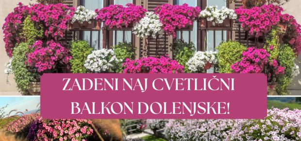🌸 Zadeni NAJ cvetlični balkon Dolenjske – samo na Radiu Krka! 🌸