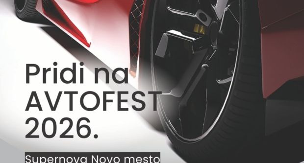 Iščemo dolenjskega mojstra avtomobilov