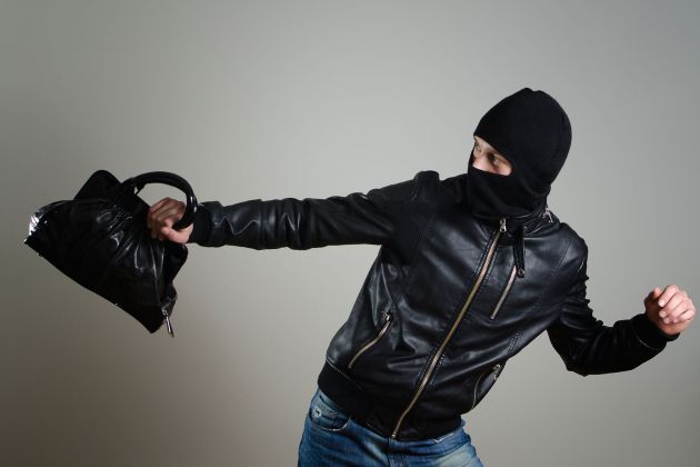 Drzna tatvina torbica