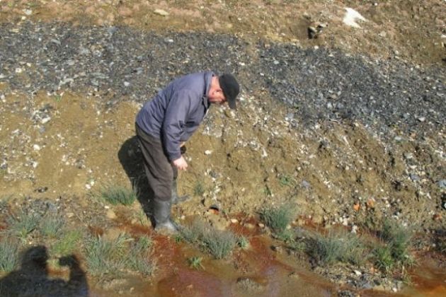 Bukovžlak  do leta 2030 postopoma povečevali, in sicer do tri odstotke BDP