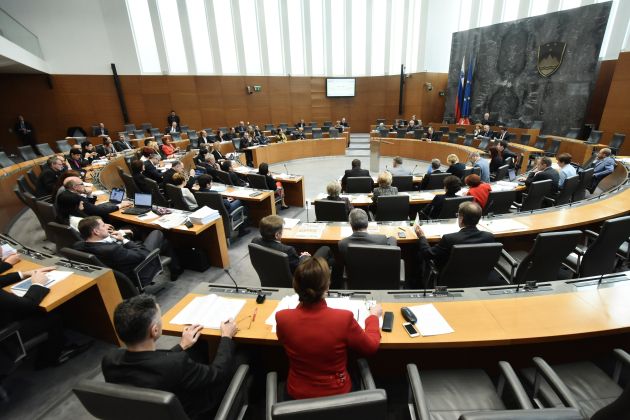Parlament, državni zbor, obravnava