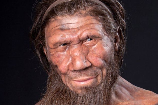 neandertalec_wiki.jpg