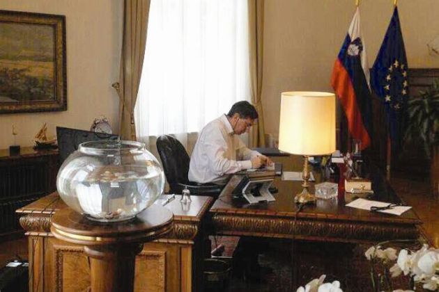 pahor zlata ribica.JPG