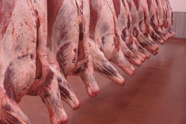 goveje meso, hladilnica, meso na kavljih, mesnica
