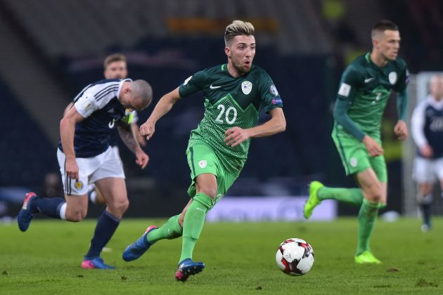 490-2-3-kampl gw.jpg